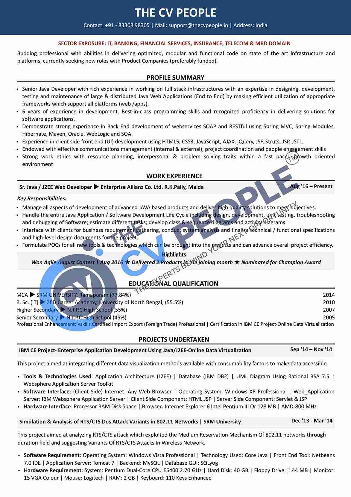 Early to mid-career software developer technical ATS CV sample