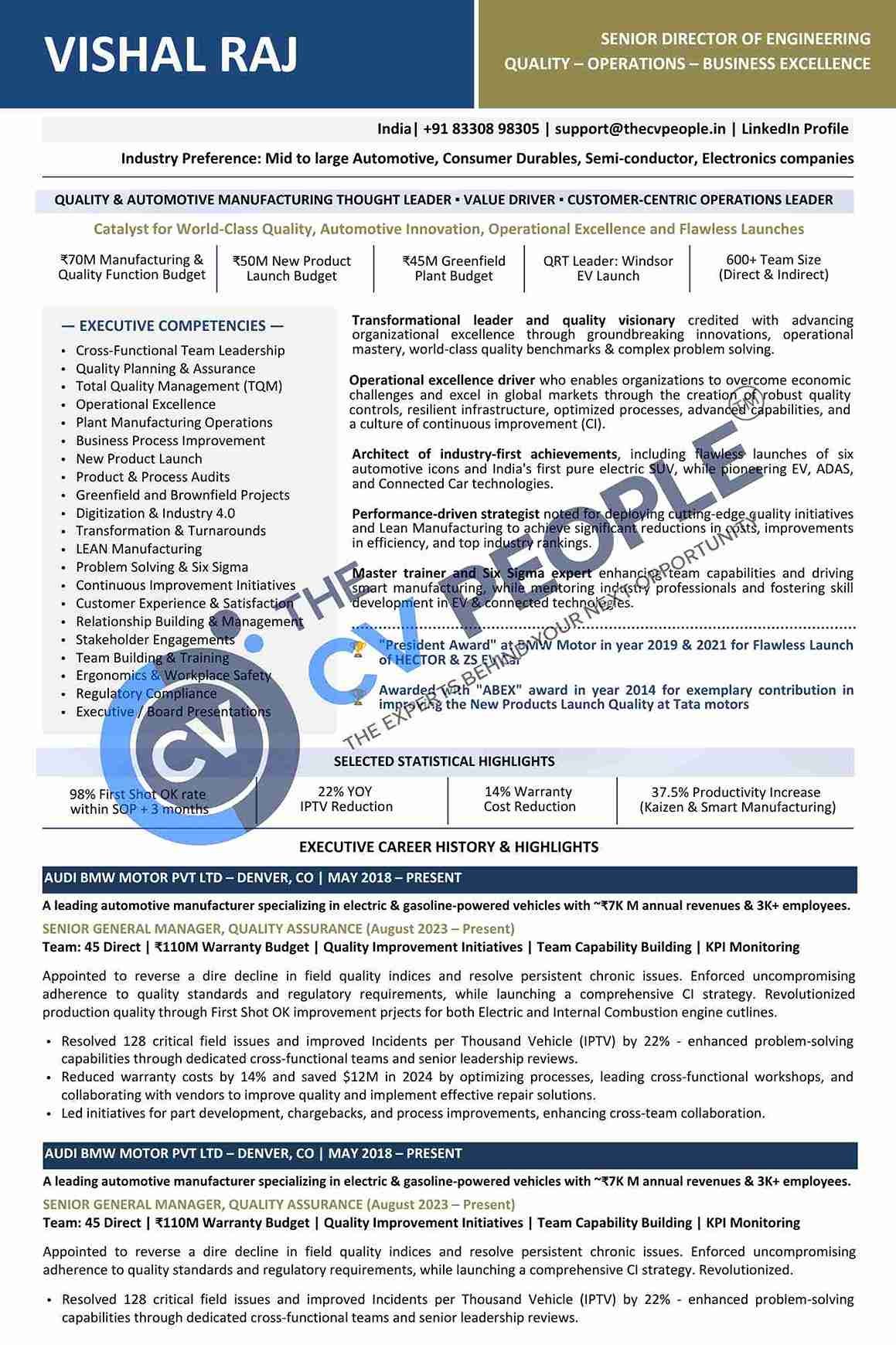 Executive CV professional presentation sample