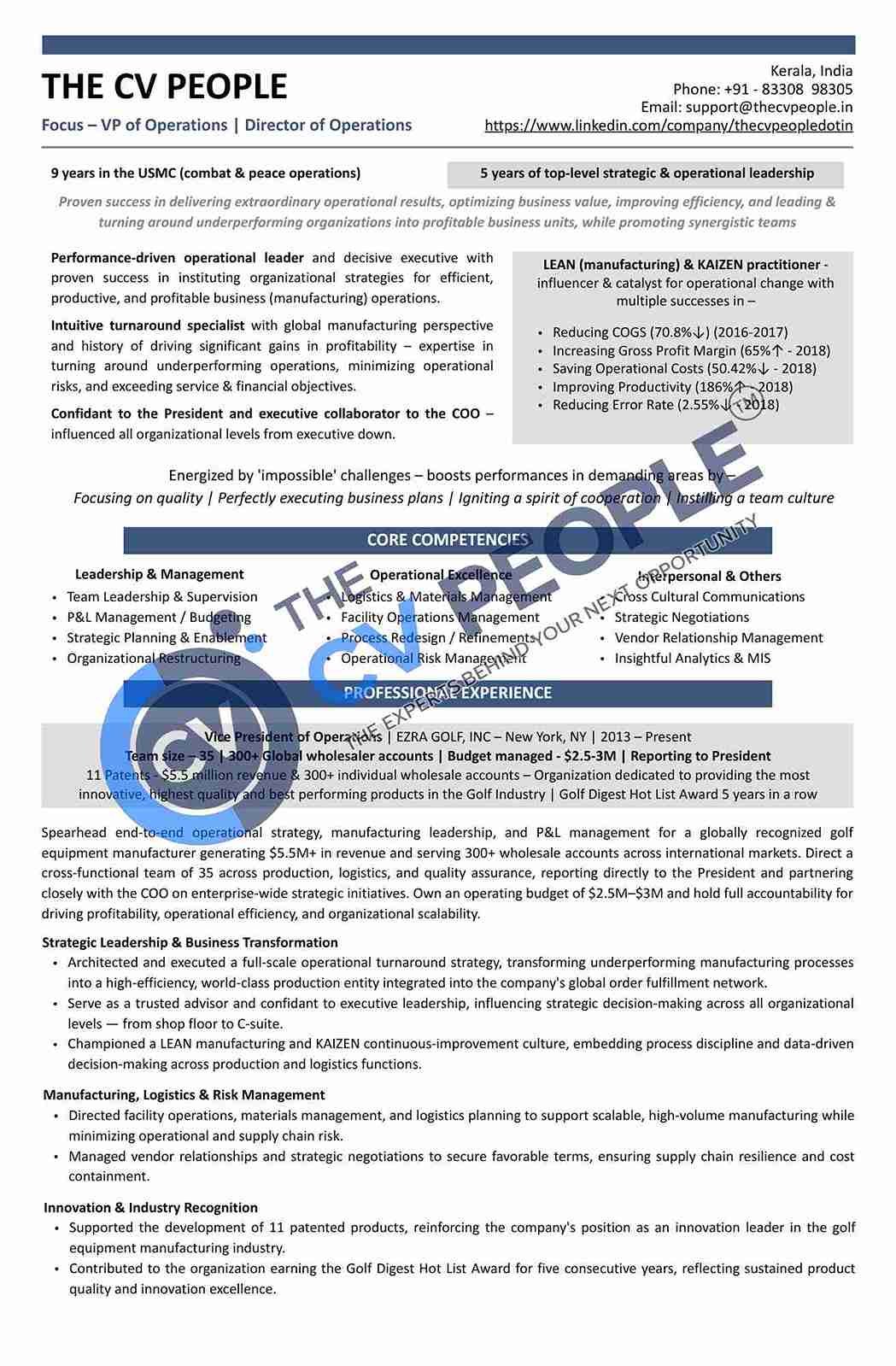 Executive CV sample