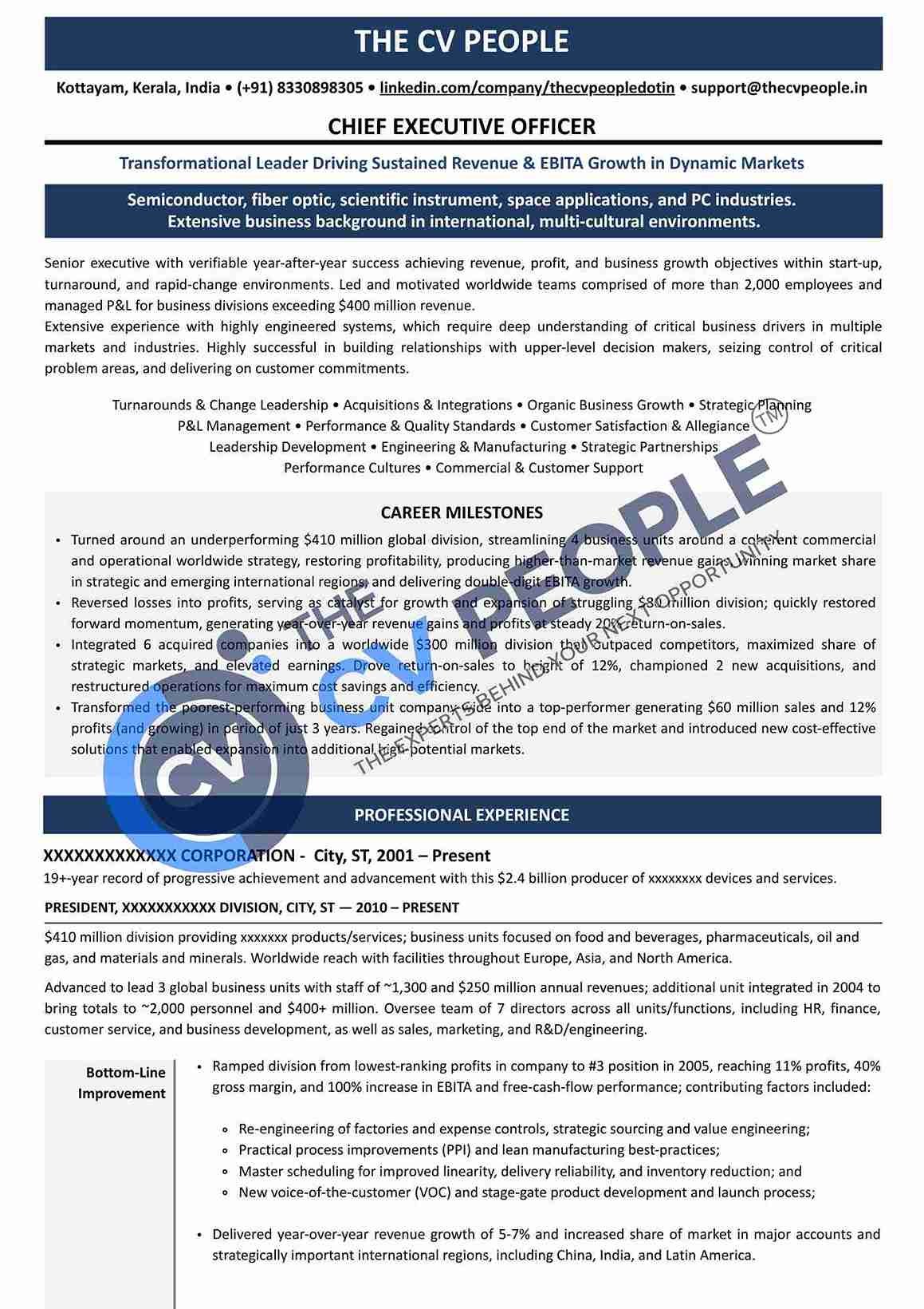 Executive CV leadership positioning sample
