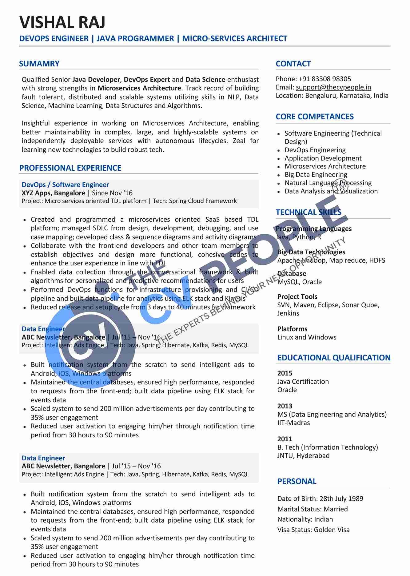 International CV global career presentation technical mid-level CV sample