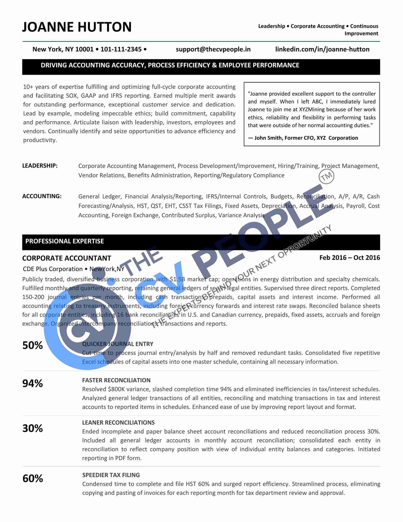Professional CV clear career presentation achievement-driven professional sample